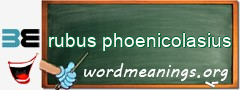 WordMeaning blackboard for rubus phoenicolasius
